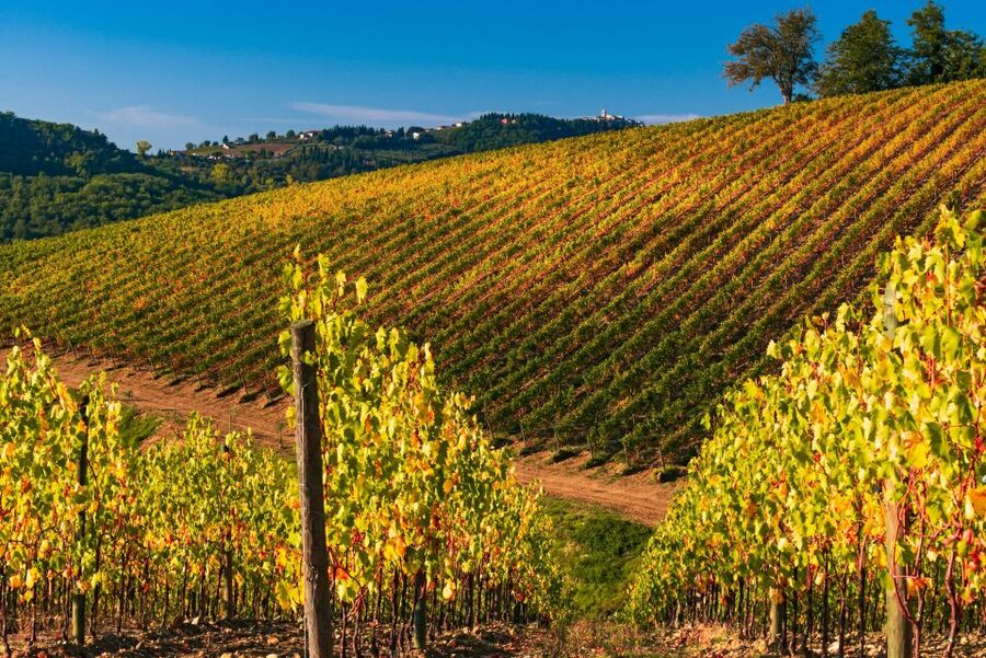 From Florence: Chianti Hills Half-Day Tour with Wine Tasting - Is $48 good value?