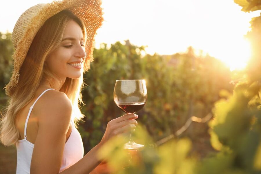 From Florence: Chianti Hills Half-Day Tour with Wine Tasting - Should you book it?