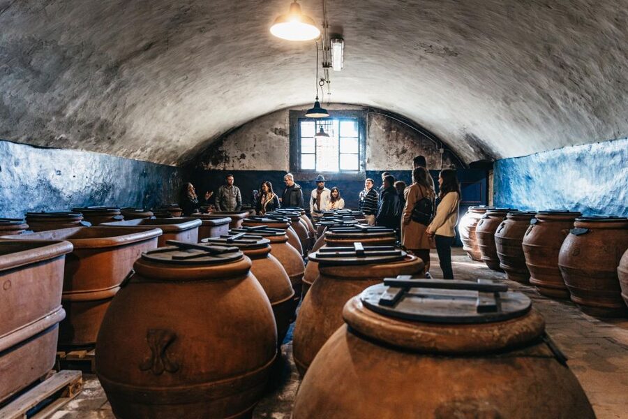 From Florence: Chianti Wine and Food Tasting Safari - Exploring the villa’s cellars and olive mill