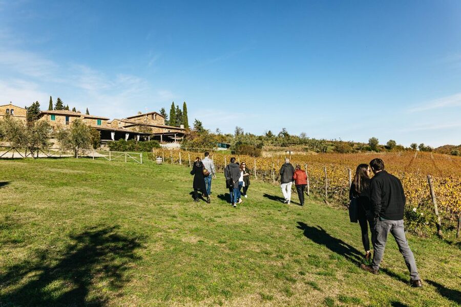 From Florence: Chianti Wine and Food Tasting Safari - A second estate and Chianti Classico wines