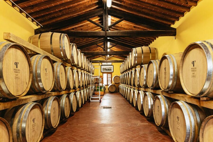 From Florence: Chianti Wine and Food Tasting Safari - What the 4WD format adds