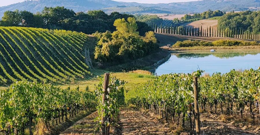 From Florence: Chianti Wine Tastings at Sunset Day Trip - The drive is part of the afternoon