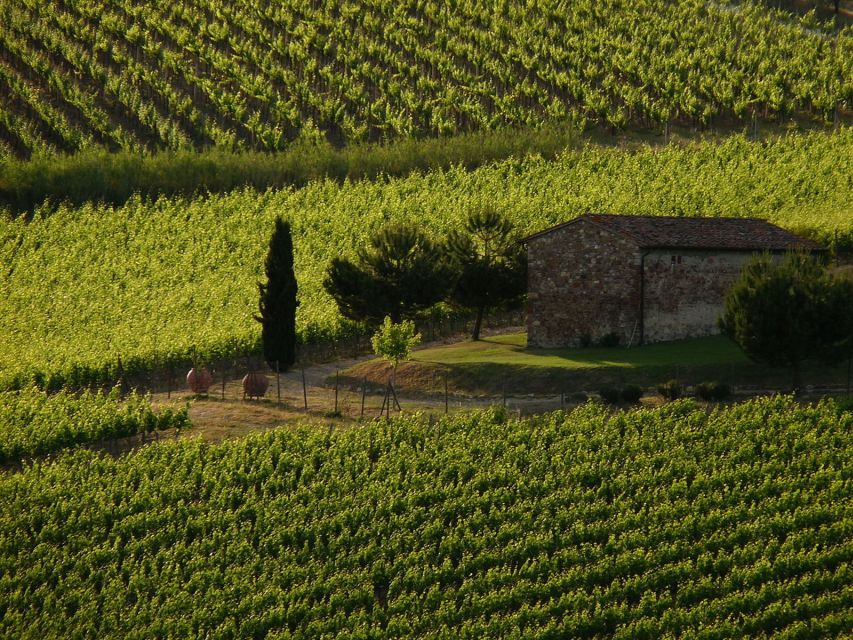 From Florence: Chianti Wine Tastings at Sunset Day Trip - What happens at the two wineries