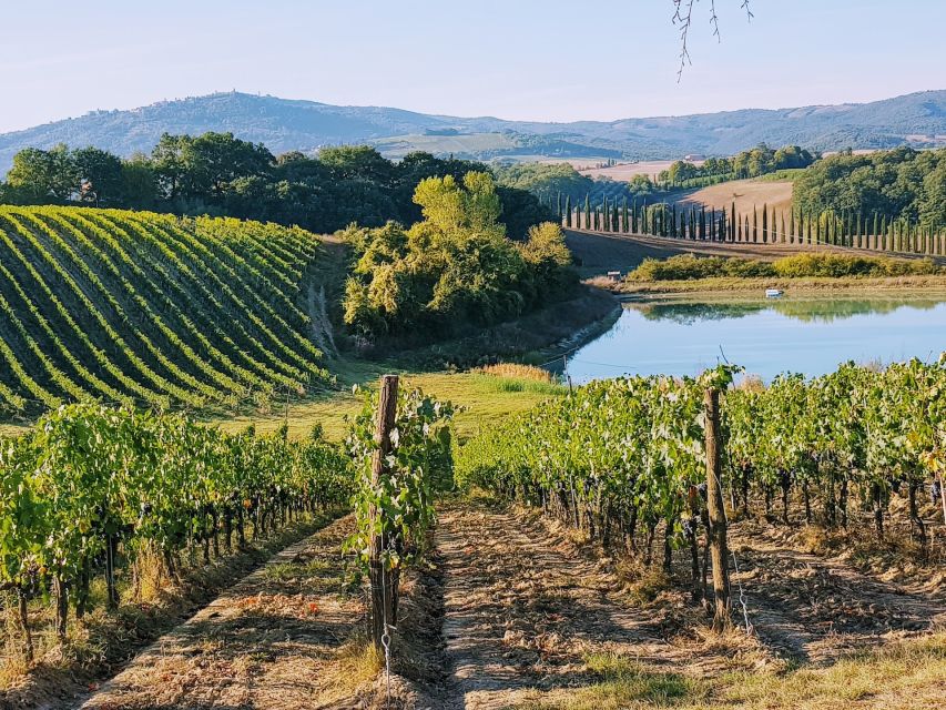 From Florence: Chianti Wine Tastings at Sunset Day Trip - Greve, Montefioralle and the changing route