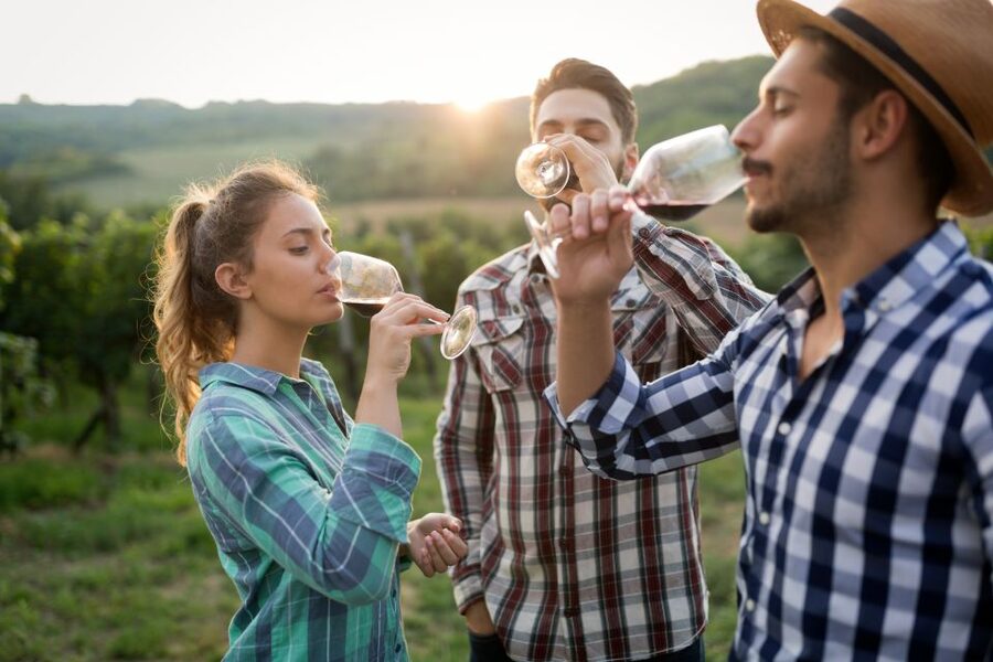 From Florence: Chianti Wine Tour with Tasting - Guides, group rhythm and the ride home
