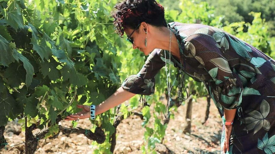 From Florence: Chianti Wine Tour with Tastings - The first winery: a small, personal introduction