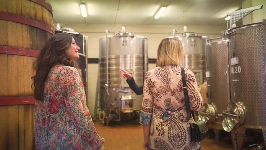 From Florence: Chianti Wine Tour with Tastings - Who should book this Chianti tour?