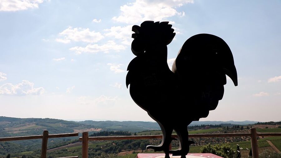 From Florence: Chianti Wine Tour with Tastings - Should you book it?
