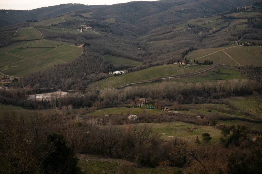 From Florence: Private Chianti Hills Tour with Tasting - The drive from Florence sets the scene