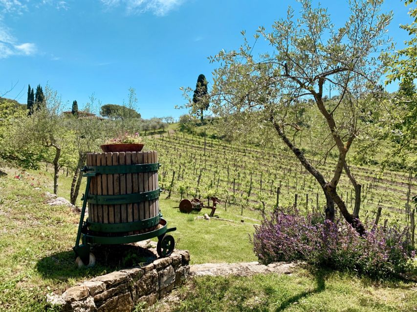 From Florence: Private Chianti Hills Tour with Tasting - Who will enjoy this Chianti outing most?