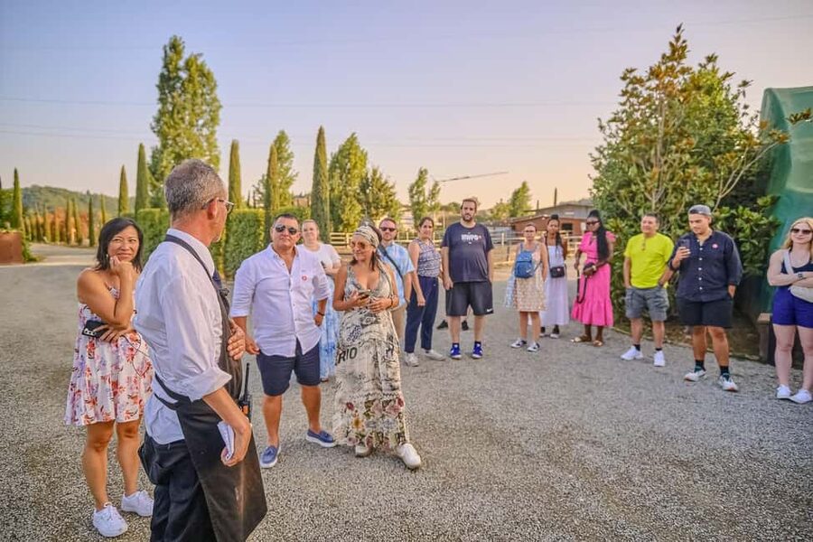 From Florence: Siena and Chianti Day Trip with Dinner - What $80.55 buys you