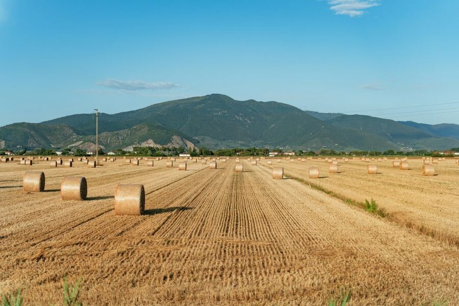 From Florence: Siena, San Gimignano, Pisa & Lunch at Winery - Is $112 good value for this Tuscany day trip?