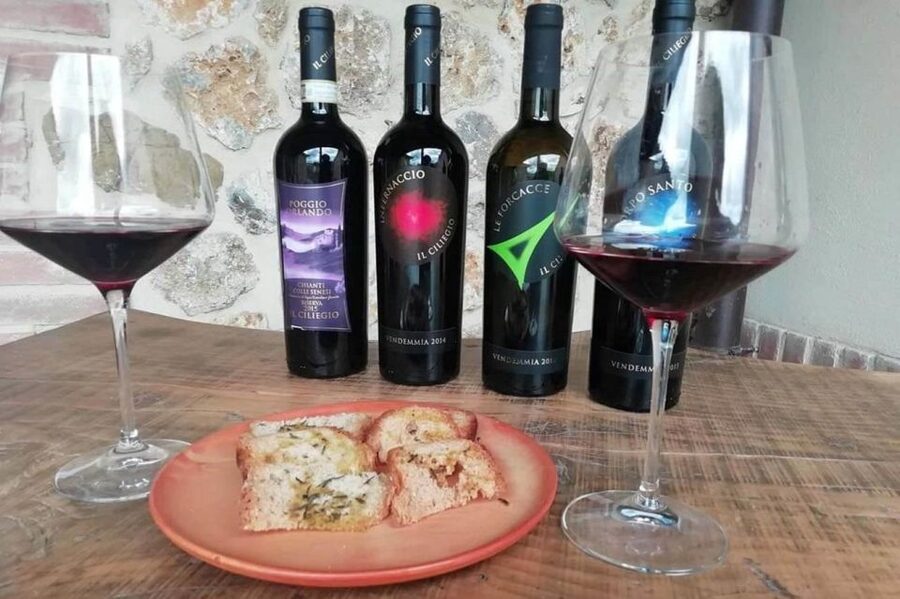 From Florence: Siena & San Gimignano Tour with Wine & Lunch - Is $84.96 good value?
