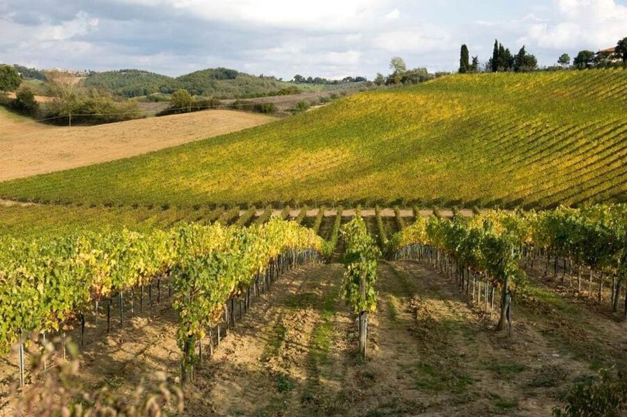 From Florence: Siena & San Gimignano Tour with Wine & Lunch - Should you book it?