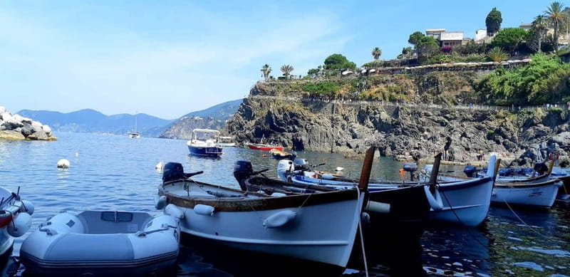 From Florence: Small-group to Cinque Terre and Pisa Day Tour - Who should book this day trip
