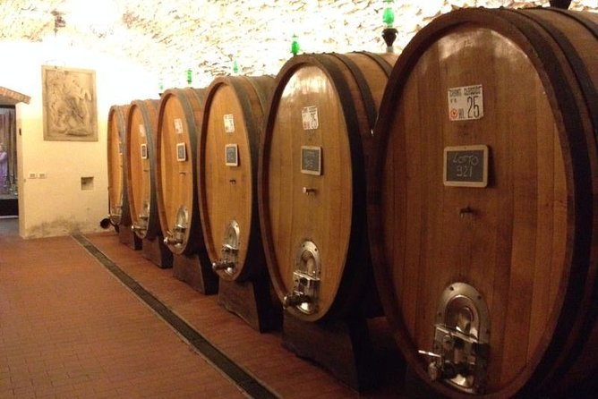 From Florence: Small-Group Tuscany Wine & Oil Tour with typical Tuscan Meal - From Florence streets to Chianti vineyards