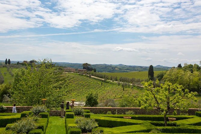 From Florence: Small-Group Tuscany Wine & Oil Tour with typical Tuscan Meal - Wine, grapes and cellars in Greve