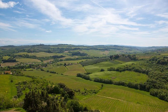 From Florence: Small-Group Tuscany Wine & Oil Tour with typical Tuscan Meal - A short wander through Greve in Chianti