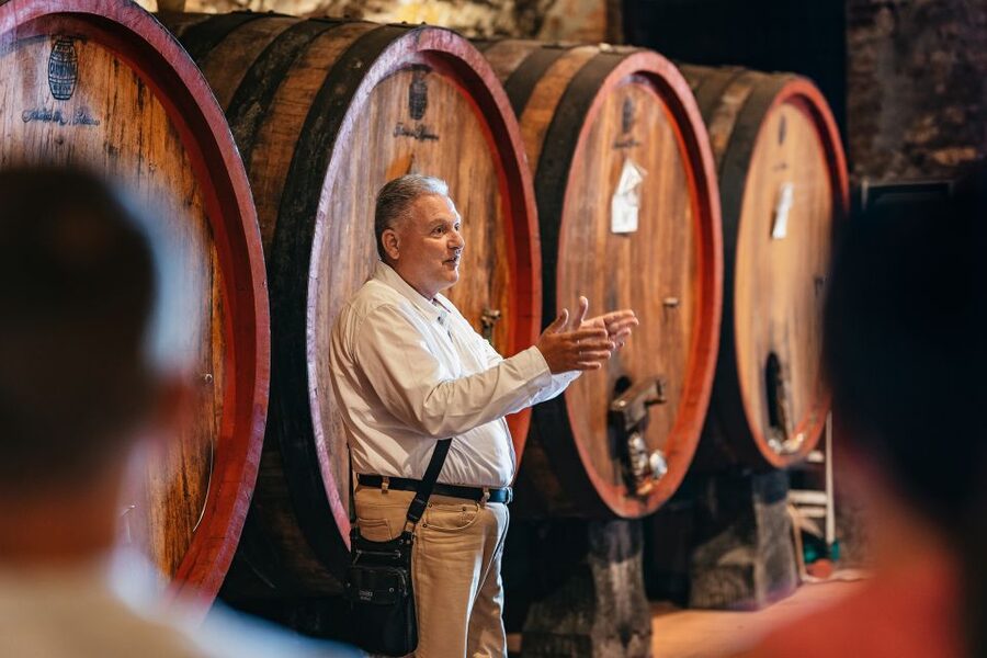 From Florence: Small Group Wine Tasting Tour to Tuscany - What the $105 price gets you