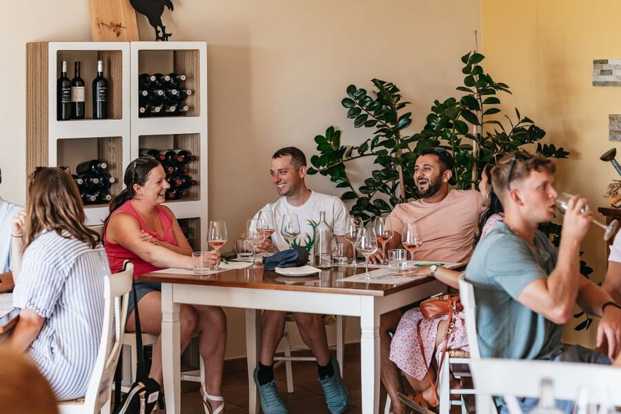 From Florence: Small Group Wine Tasting Tour to Tuscany - Who will enjoy this trip, and what to plan for