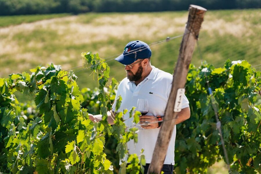 From Florence: Small Group Wine Tasting Tour to Tuscany - The first estate: cellar stories and an olive-oil taste