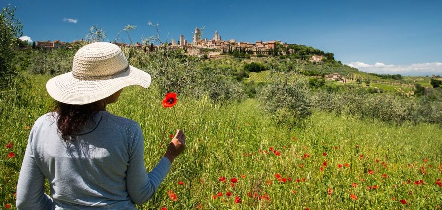 From Florence: Tuscany Highlights Full-Day Tour - One day, three very different Tuscan stops