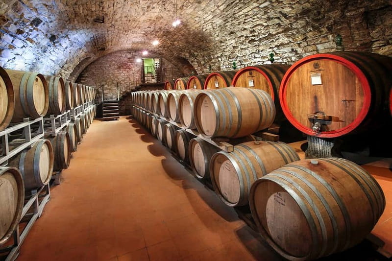 From Florence: Tuscany Wine & Food Tour with Guide - From Florence into Chianti country