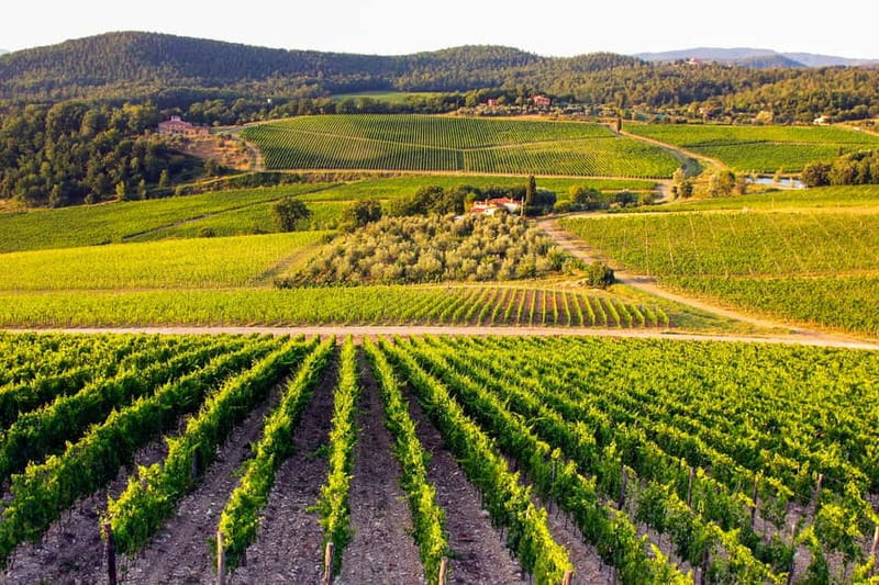 From Florence: Tuscany Wine & Food Tour with Guide - Is $175 good value?