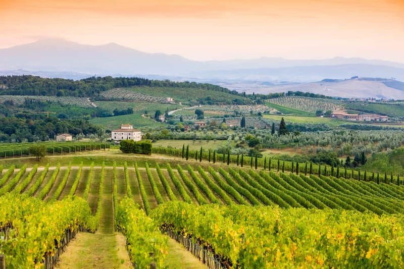 From Florence: Tuscany Wine & Food Tour with Guide - Should you book it?