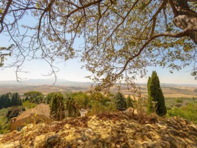 Val D’Orcia Tour with Wine Tasting