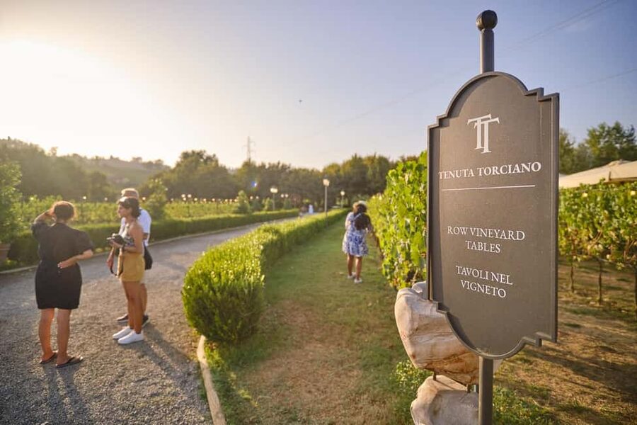 From Florence: Wine Tasting and Dinner in Chianti Vineyards - From Florence to Chianti’s vineyard country