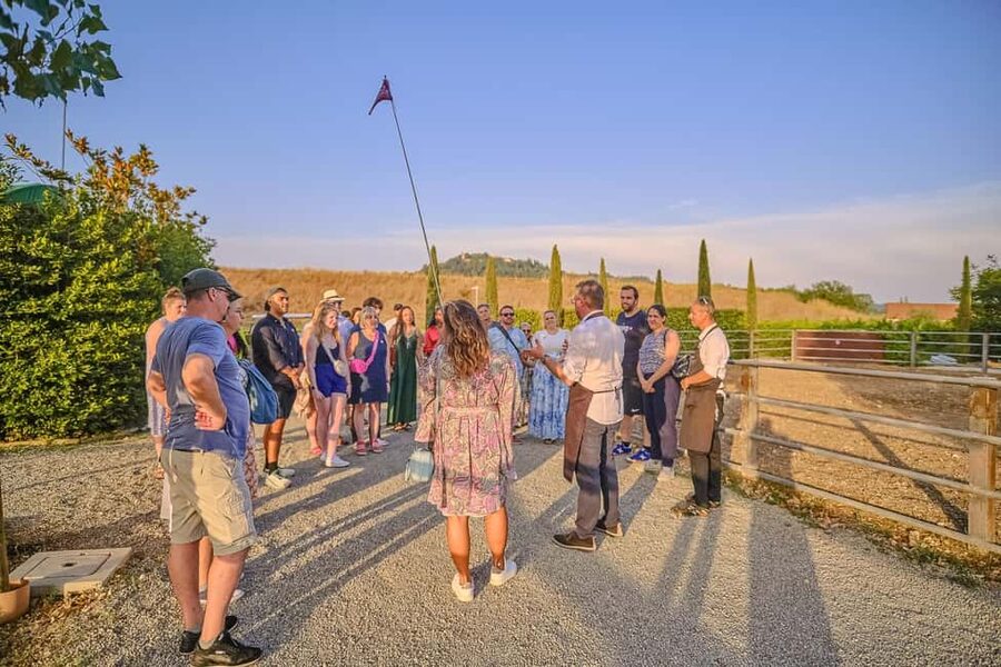 From Florence: Wine Tasting and Dinner in Chianti Vineyards - Timing, comfort, and practical details