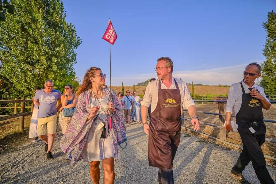 From Florence: Wine Tasting and Dinner in Chianti Vineyards - Should you book it?