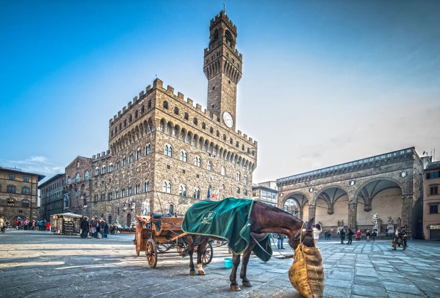 From Livorno: Florence Shore Excursion with Tasting - Accademia Gallery needs a plan