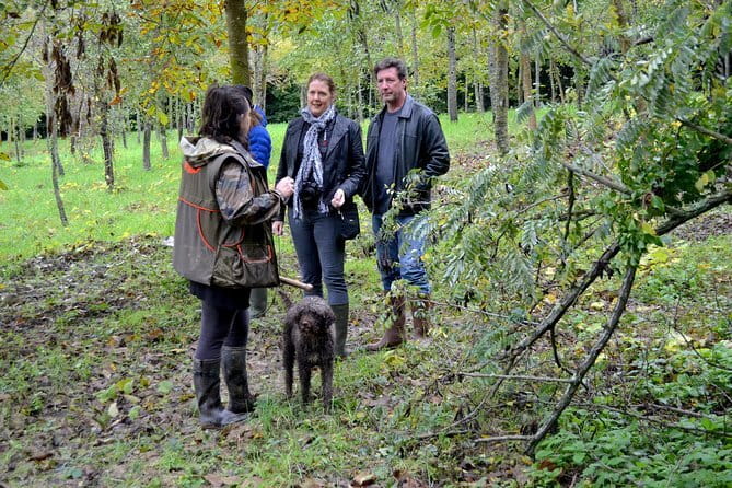 Full-Day Small-Group Truffle Hunting in Tuscany with Lunch - What makes this day worth the drive
