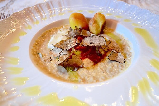Full-Day Small-Group Truffle Hunting in Tuscany with Lunch - From Florence to the woods near San Miniato