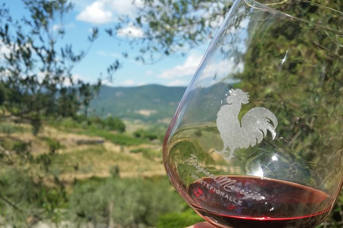 Greve in Chianti Wine Tasting and Winery Tour - A small winery with a personal story