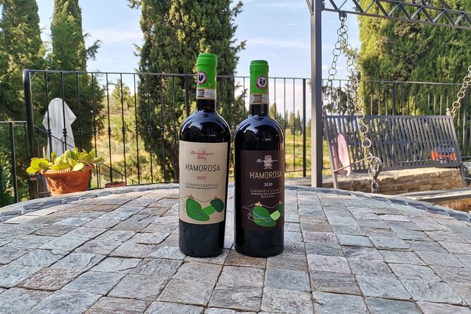 Greve in Chianti Wine Tasting and Winery Tour - From vineyard to cellar in about 90 minutes