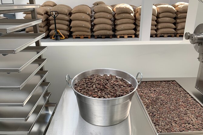 Guided tour of the Artisan Chocolate Factory in Tuscany - What to Know Before You Go
