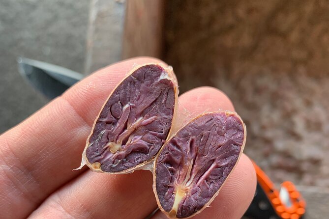 Guided tour of the Artisan Chocolate Factory in Tuscany - From Nicaraguan Cacao to Tuscan Chocolate