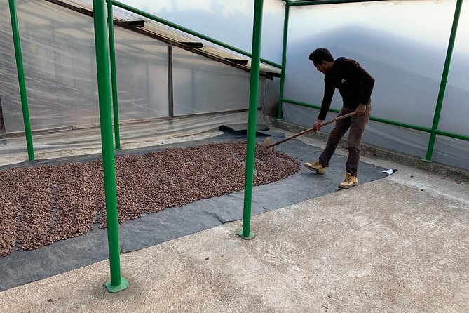 Guided tour of the Artisan Chocolate Factory in Tuscany - FAQ
