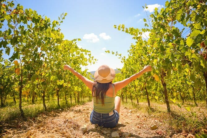 Half day Chianti Vineyard Escape from Florence with Wine Tastings - What the coach ride adds, and what it costs in time