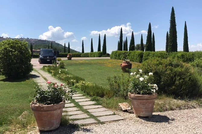 Pisa and Lucca Day Trip from Florence - What the $78.10 price gets you