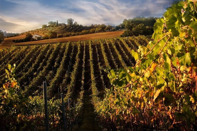 Private Flavors of Florence Walking Tour (Food and Wine Included) - What the price buys you