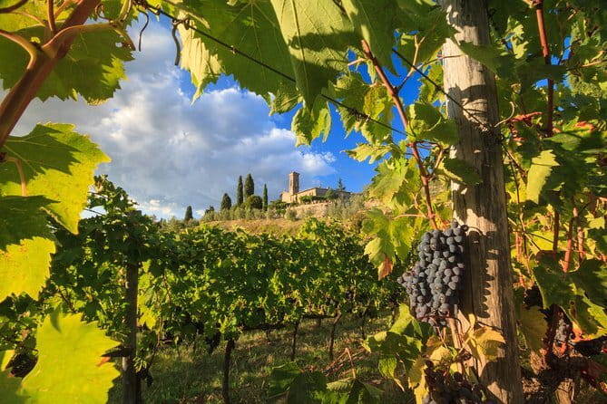 Private Tuscany Tour from Florence Including Siena, San Gimignano and Chianti Wine Region - The day at a glance