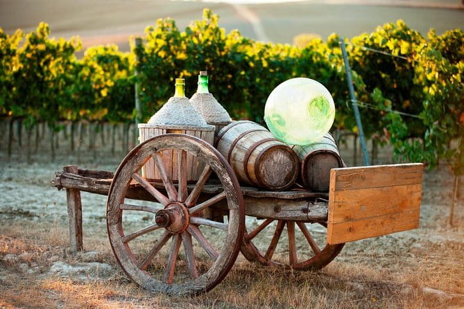 Semi Private Deep Wine Chianti and San Gimignano from Florence - Who should book this Chianti day?