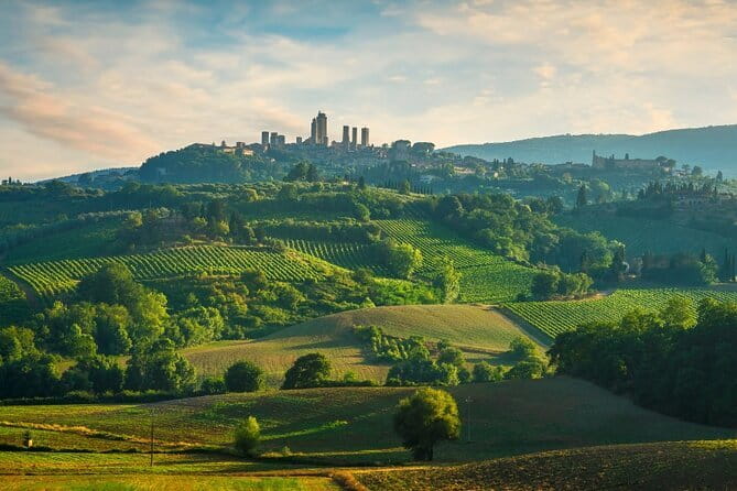 Semi Private Deep Wine Chianti and San Gimignano from Florence - A second winery and a different taste of Chianti