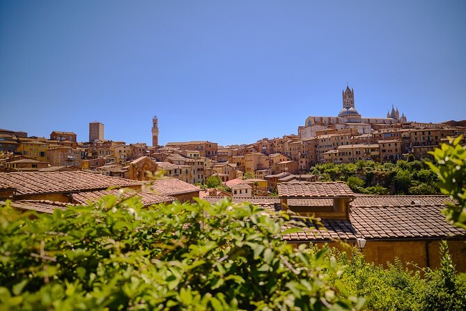 Siena, San Gimignano and Chianti Wines Day Tour from Florence - Three Tuscan towns, one busy day