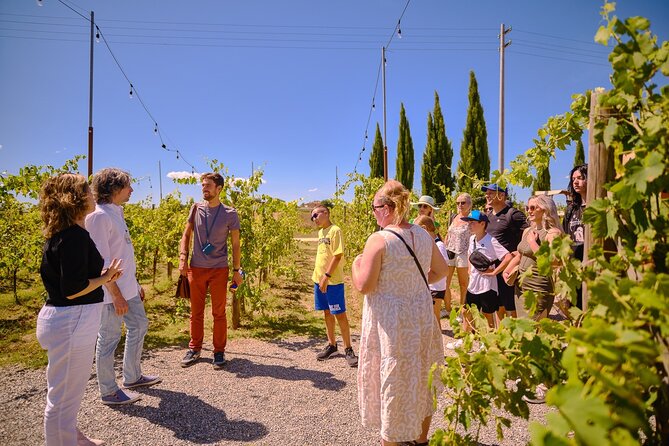 Siena, San Gimignano and Chianti Wines Day Tour from Florence - Monteriggioni: a compact first taste of medieval Tuscany