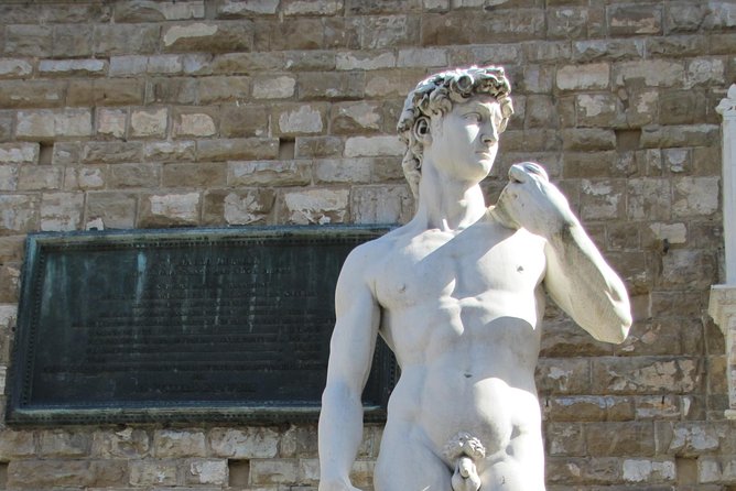 Skip the Line: Florence's Accademia Gallery Priority Entrance Ticket - Face Michelangelo’s David